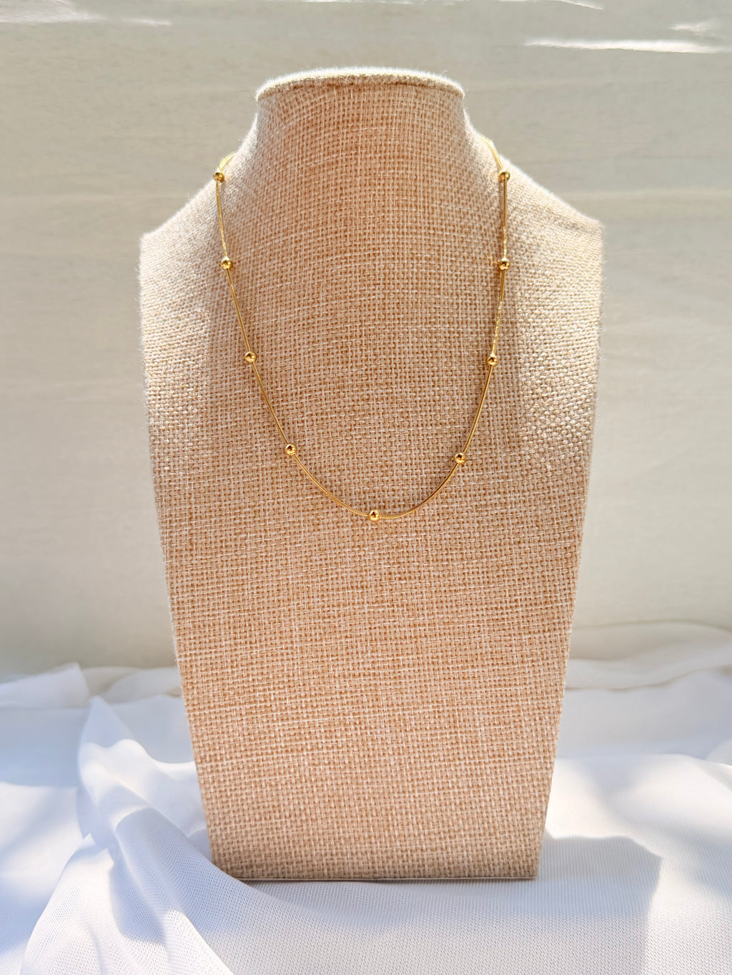 COLLARES CAT