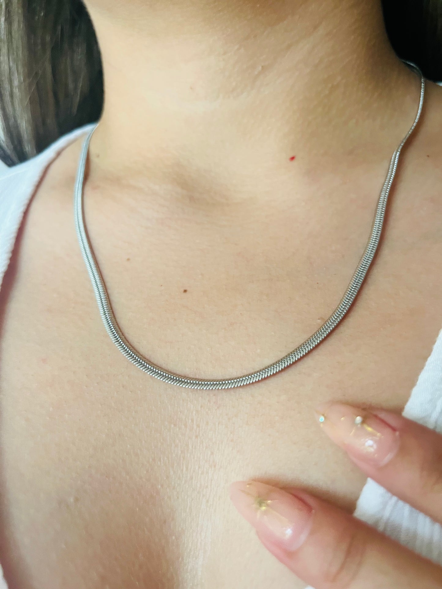 PANZA DE VIBORA PLATEADA