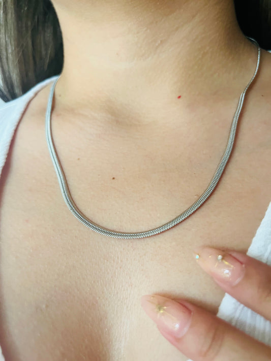 PANZA DE VIBORA PLATEADA