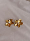 ARETES ORQUIDEA